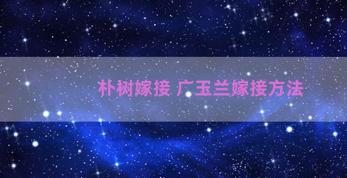 朴树嫁接 广玉兰嫁接方法